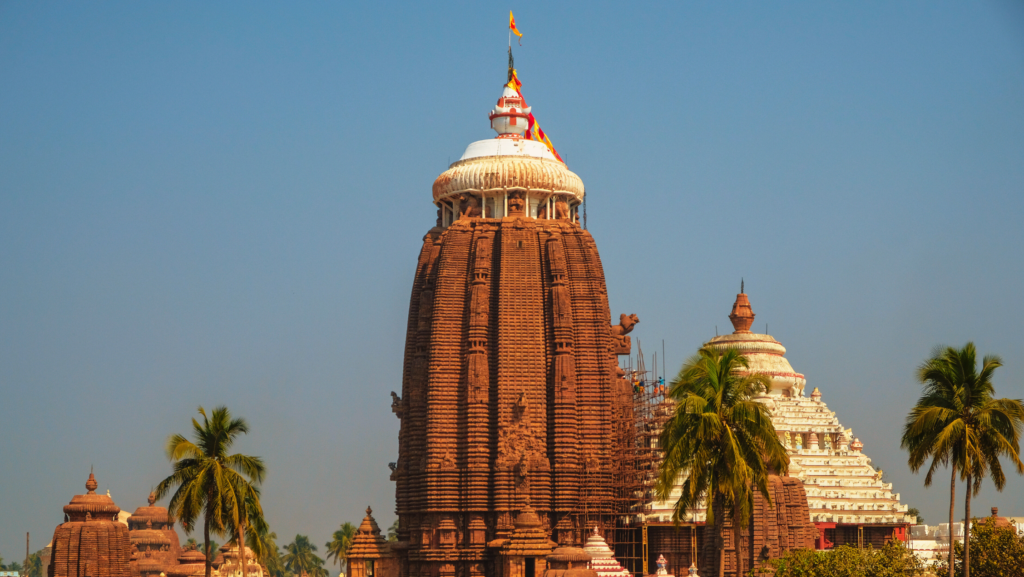 tour and travels puri