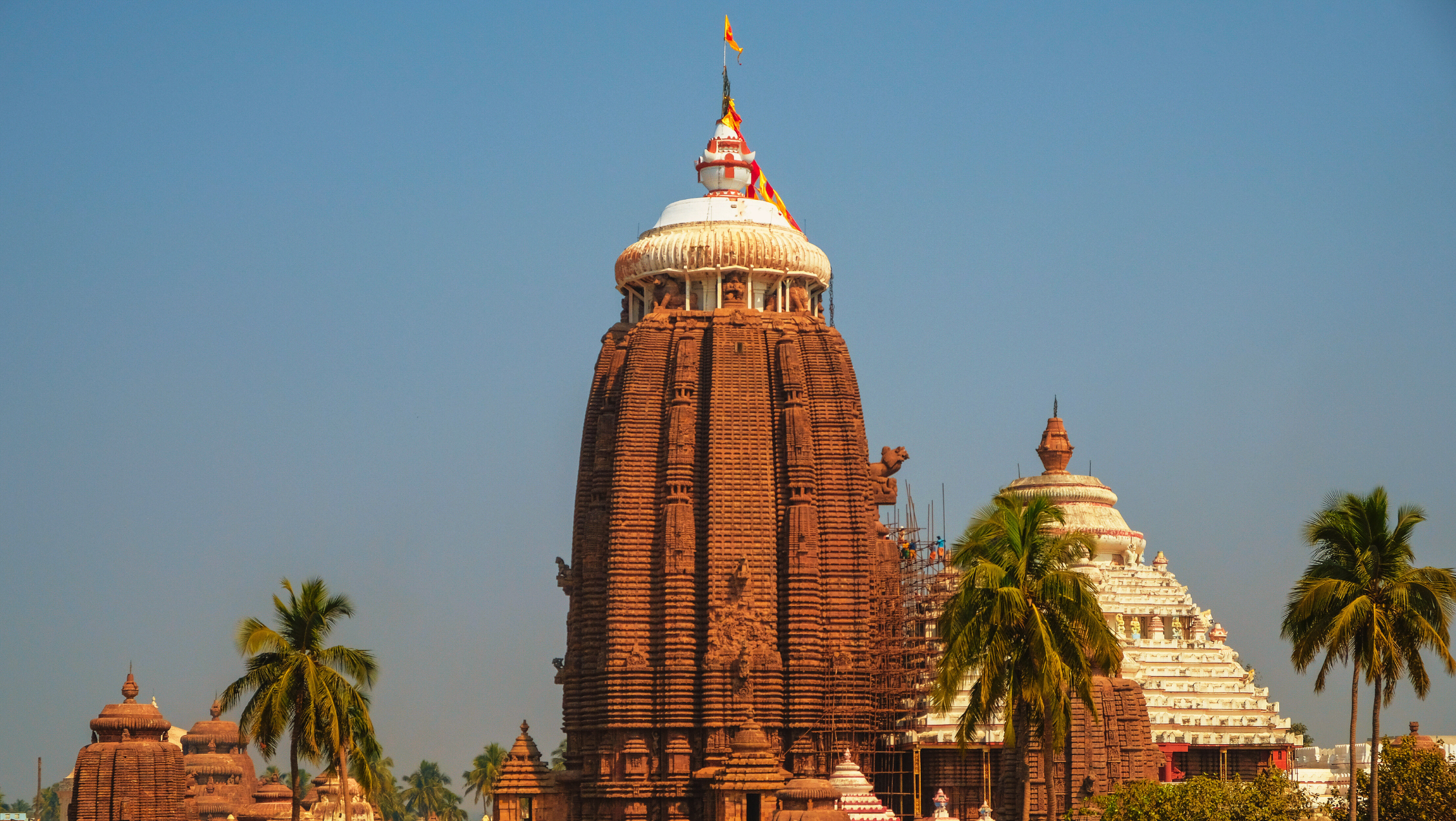 Book Your Travel Package to Jagannath Puri from Ahmedabad with Mypuritour